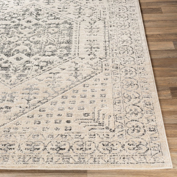 Livabliss City Collection Traditional Polypropylene Area Rug for Entryways and Hallways CIT2381-23