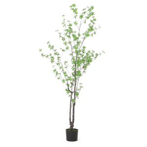 English Elm 180cm Faux Enkianthus Indoor Tree Realistic Disc Leaf Branches Zero Maintenance 74335.00