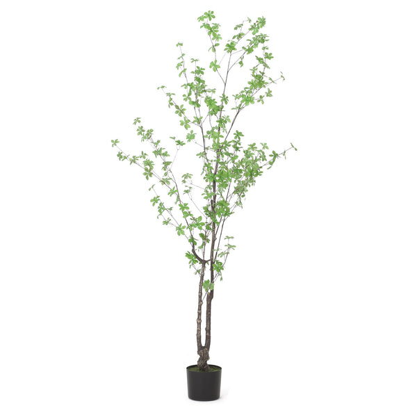 English Elm 180cm Faux Enkianthus Indoor Tree Realistic Disc Leaf Branches Zero Maintenance 74335.00