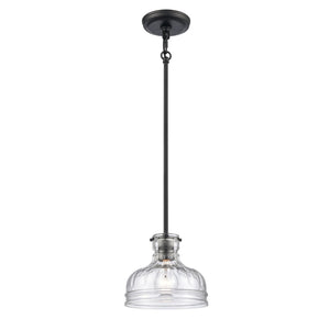 Atlas Orinoco 8'' Wide 1-Light Mini Pendant - Elegant Glass Shade for Modern Indoor Lighting Spaces Matte Black CL11658-BK