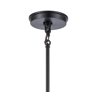 Atlas Boyer Modern 1-Light Pendant with Clear Glass Shade - Elevate Your Space with Elegant Illumination Matte Black 18'' CL11736-BK