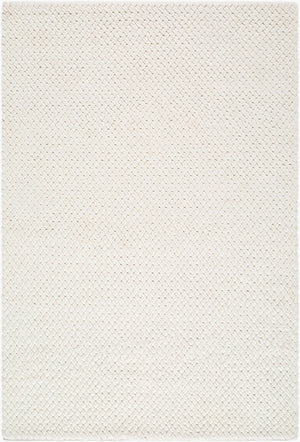 Livabliss Cloud Handwoven Wool Accent Rug Bohemian Global Pattern for Entryway or Bedside The prominent c 8' x 10' CLD2304-810