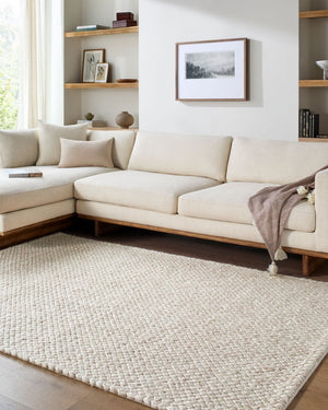 Livabliss Cloud Handwoven Wool Accent Rug Bohemian Artisan Texture for Entryway or Bedroom Ivory, Cream 9' x 12' CLD2305-912