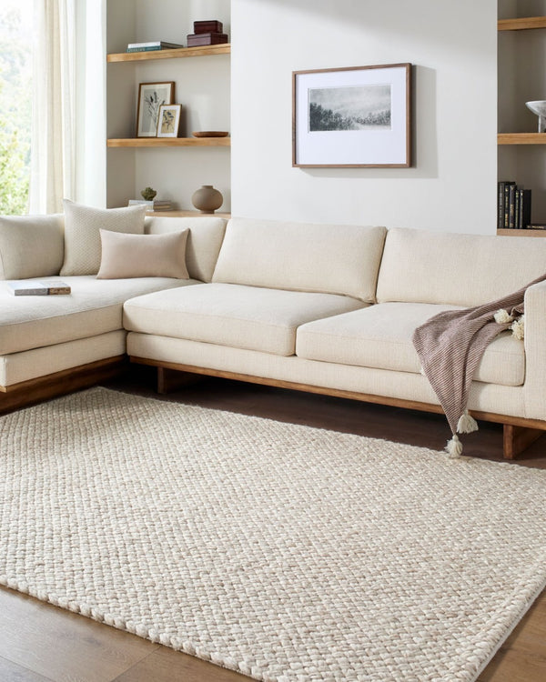 Livabliss Cloud Handwoven Wool Accent Rug Bohemian Artisan Texture for Entryway or Bedroom Ivory, Cream 9' x 12' CLD2305-912