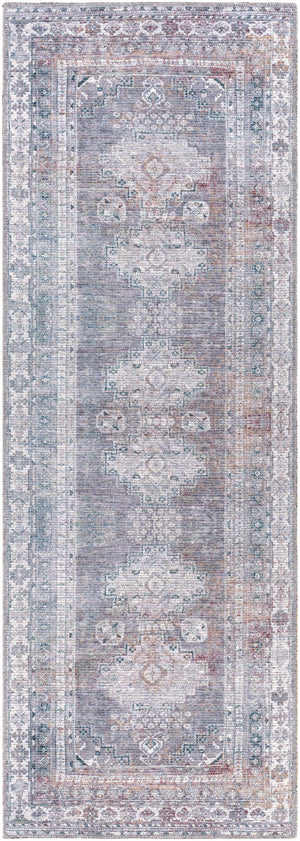 Colin CLN-2304 2'7" x 7'3" Machine Woven Rug CLN2304-2773 Livabliss Surya