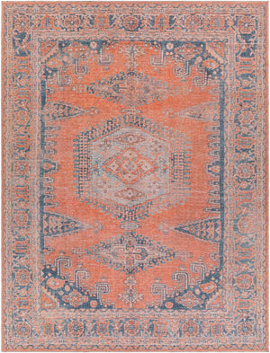 Livabliss Colin Flatweave Runner Rug Turkish Woven Chenille Cotton Blend Hallway Entryway Burnt Orange, B 7'10" x 10'2" CLN2306-710102