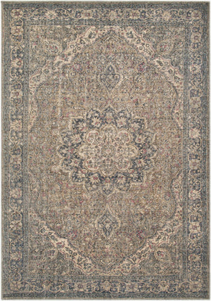 Livabliss Colin Flatweave Runner Traditional Pattern Chenille Blend Rug for Hallways and Entryways Dusty Sage, Oli 5'3" x 7'3" CLN2309-5373