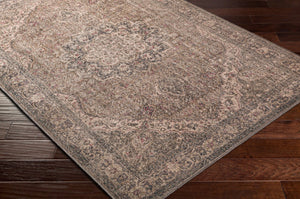 Livabliss Colin Flatweave Runner Traditional Pattern Chenille Blend Rug for Hallways and Entryways Dusty Sage, Oli 5'3" x 7'3" CLN2309-5373