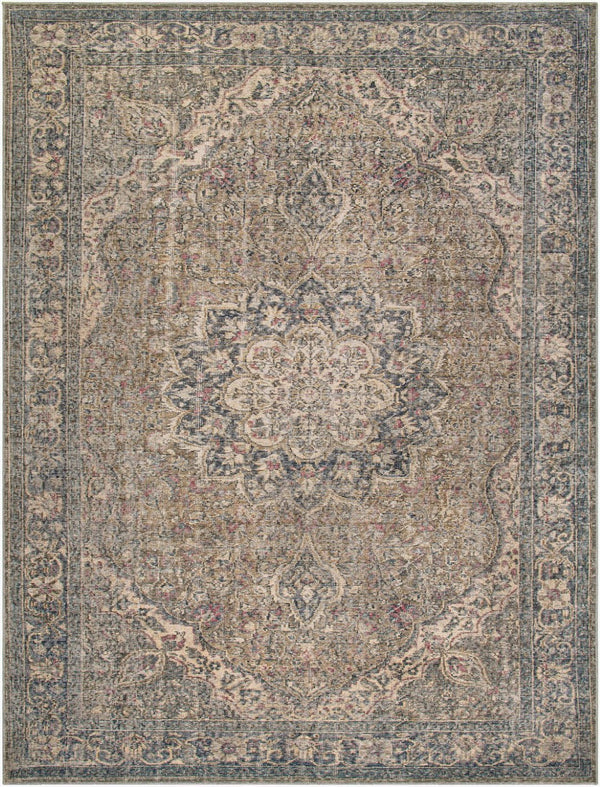 Livabliss Colin Flatweave Runner Traditional Pattern Chenille Blend Rug for Hallways and Entryways Dusty Sage, Oli 7'10" x 10'2" CLN2309-710102