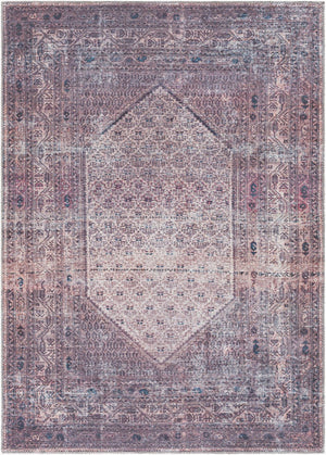 Livabliss Colin Traditional Runner Rug Chenille Blend Soft Pile for Hallway or Entryway Plum, Ink Blue 6'7" x 9' CLN2313-679