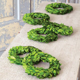 Mini Preserved Boxwood Wreaths, Set of 6 EBD80095 Park Hill