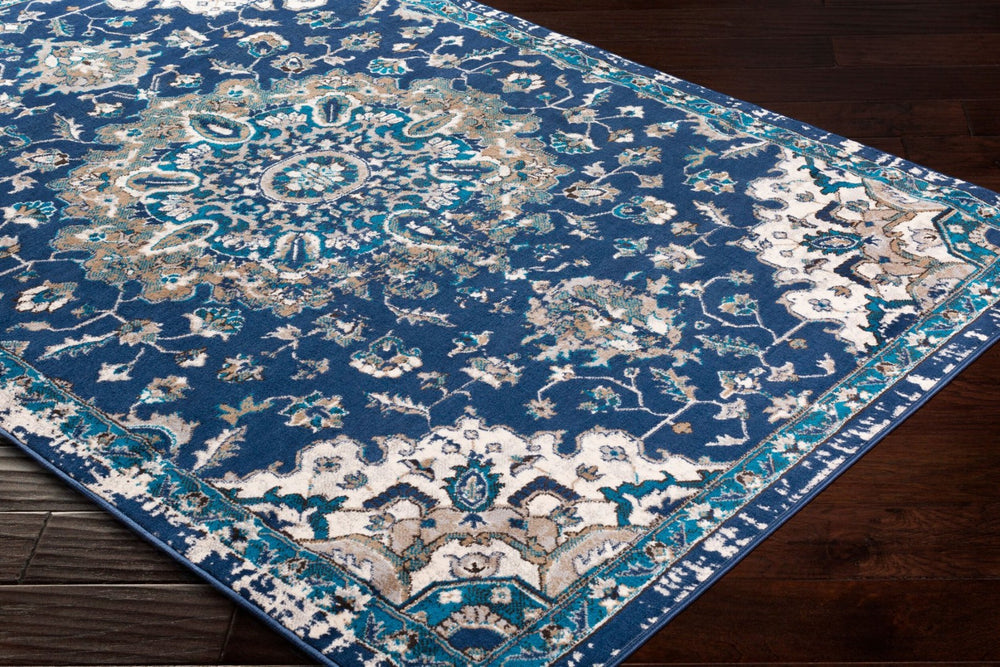 Livabliss Clairmont Traditional Polypropylene Area Rug Machine Woven for Large Living Rooms CMT2314-93123