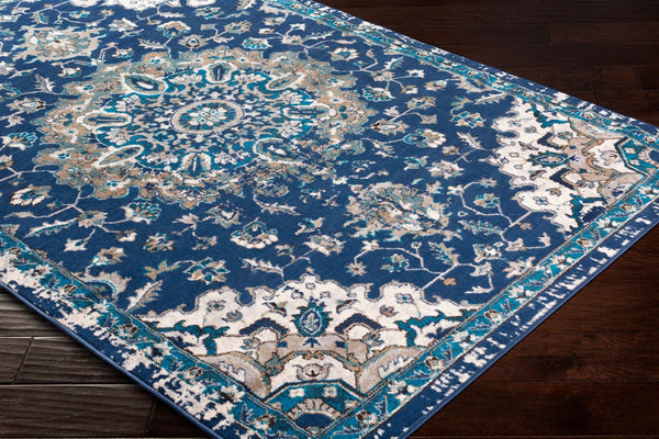 Livabliss Clairmont Traditional Polypropylene Area Rug Machine Woven for Large Living Rooms CMT2314-93123