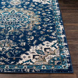 Livabliss Clairmont Traditional Polypropylene Area Rug Machine Woven for Large Living Rooms CMT2314-93123