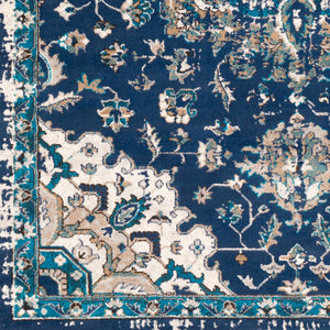 Livabliss Clairmont Traditional Polypropylene Area Rug Machine Woven for Large Living Rooms CMT2314-93123