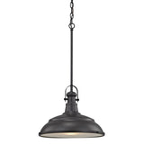 Thomas Blakesley 14'' Wide 1-Light Pendant