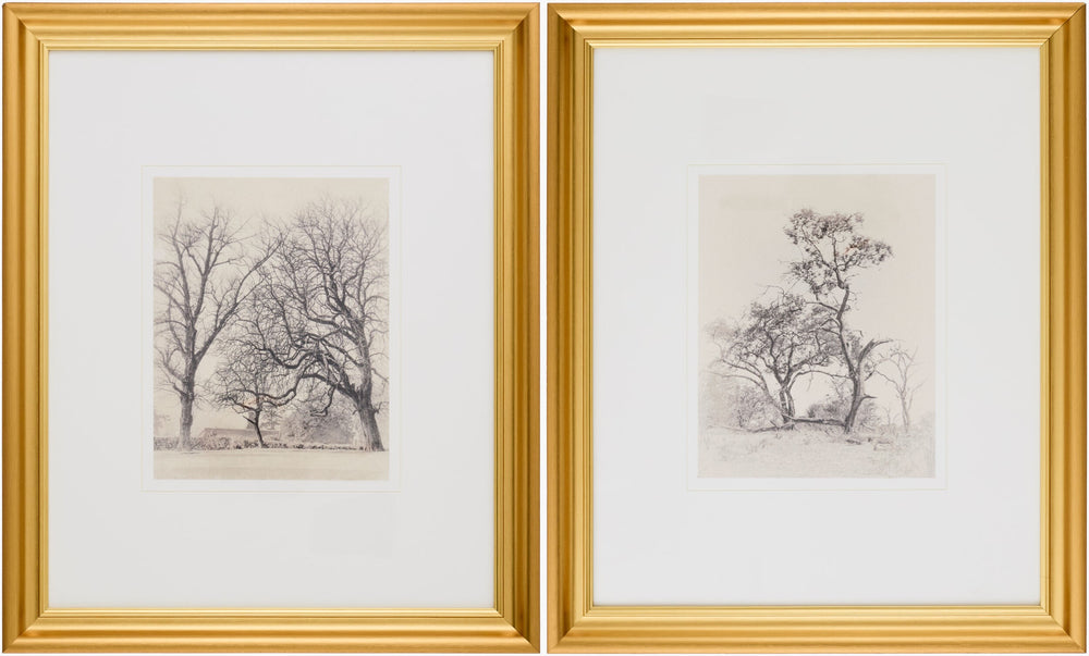 Surya Coconino 23"H X 19"W Framed Art - Timeless Canvas Wall Decor For Elegant Home Transformation Main, Gray Canvas,Polystyrene Coco001-set