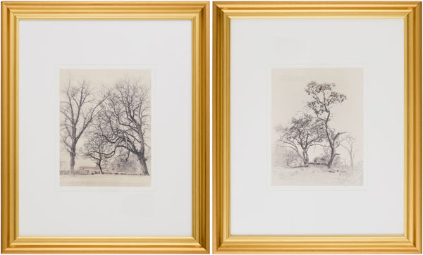 Surya Coconino 23"H X 19"W Framed Art - Timeless Canvas Wall Decor For Elegant Home Transformation Main, Gray Canvas,Polystyrene Coco001-set