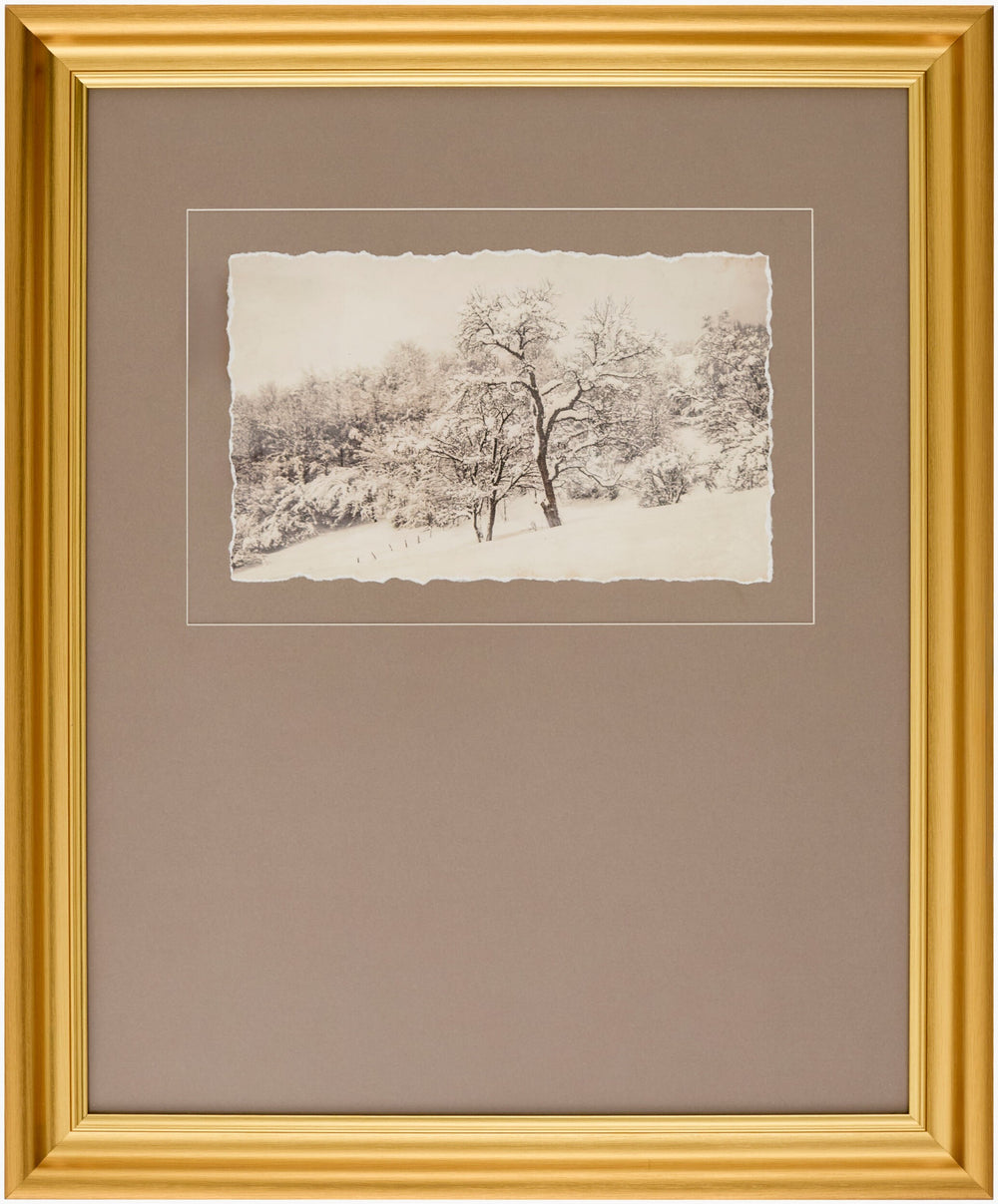 Surya Coconino 23"H X 19"W Framed Art - Timeless Canvas Wall Decor For Elegant Home Transformation Main, Gray Canvas,Polystyrene Coco001-set