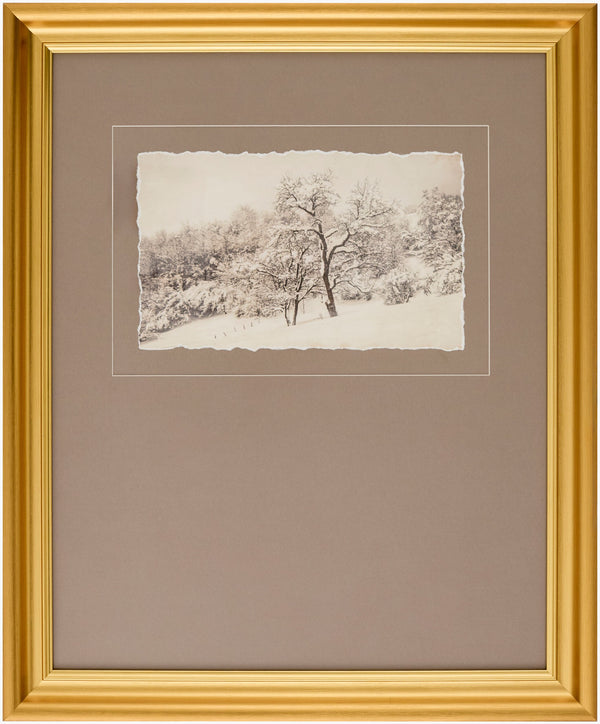 Surya Coconino 23"H X 19"W Framed Art - Timeless Canvas Wall Decor For Elegant Home Transformation Main, Gray Canvas,Polystyrene Coco002-23191