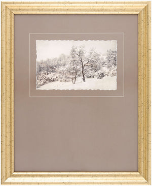 Surya Coconino Slim Profile Traditional Framed Wall Art Ready to Hang for Any Room COCO004-1923