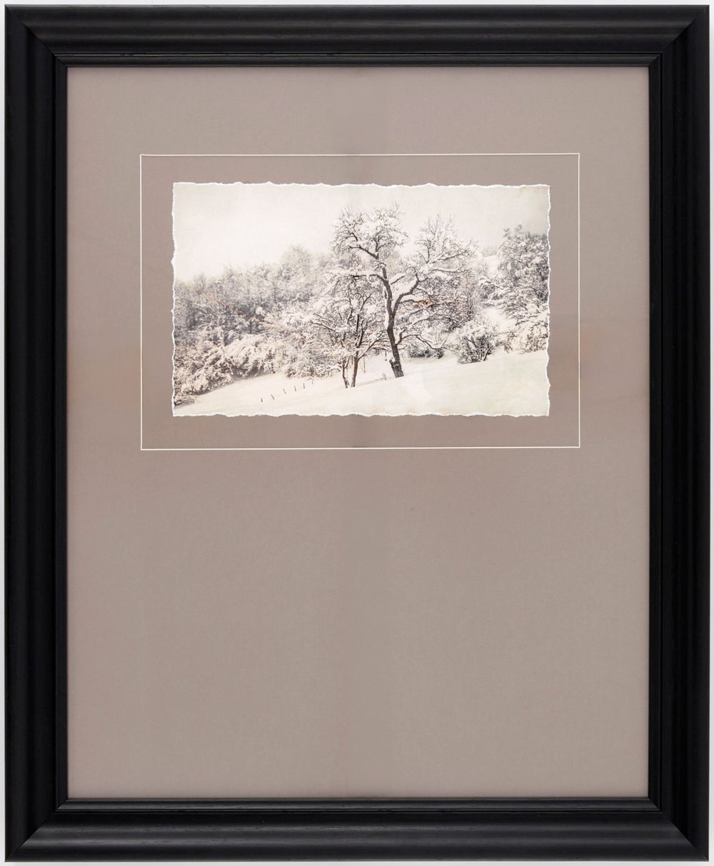 Surya Coconino Gallery Framed Wall Art Transitional Rectangular Print for Living Room or Bedroom COCO006-1923