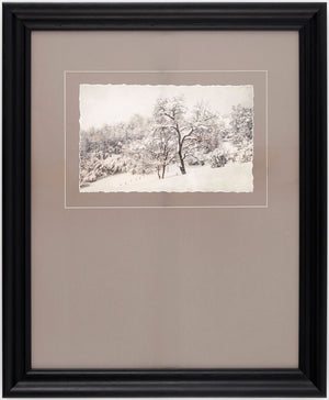 Surya Coconino Gallery Framed Wall Art Transitional Rectangular Print for Living Room or Bedroom COCO006-1923