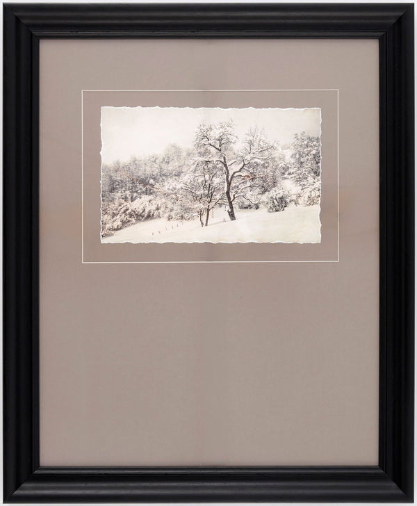 Surya Coconino Gallery Framed Wall Art Transitional Rectangular Print for Living Room or Bedroom COCO006-1923