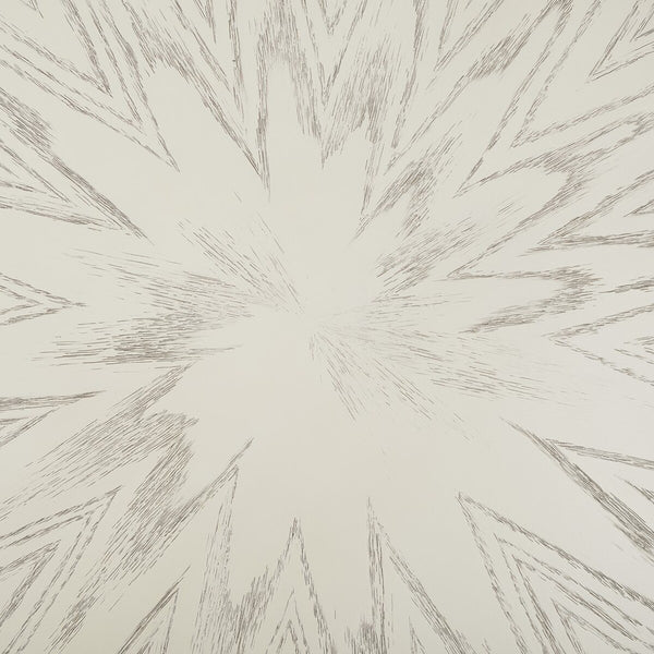 Safavieh Navya Round Coffee Table XII23 White Wash Top / Black Legs Metal COF6207C