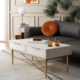 Safavieh Pierre 2 Drawer Coffee Table White Washed / Gold COF6404B