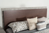 VIG Furniture Eastern King Nova Domus Conner Modern Dark Walnut & Concrete Bed VGAN-CONNER-BED-DK-EK