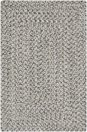 Livabliss Chesapeake Bay Flatweave Polypropylene Outdoor Rug for Patios Porches and Casual Spaces Charcoal, Black 2' x 3' CPK2302-23