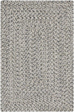 Chesapeake Bay CPK-2302 2' x 3' Machine Woven Rug CPK2302-23 Livabliss Surya