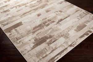 Livabliss Contempo Belgian Polypropylene Area Rug Transitional Medium Pile Living Room Floor CPO3708-92129