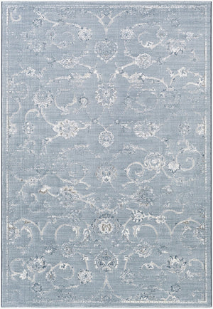 Livabliss Contempo Belgian Woven Polypropylene Area Rug Traditional Style Formal Living Room CPO3725-92129