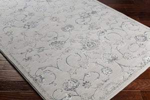 Livabliss Contempo Belgian Woven Polypropylene Area Rug Traditional Pattern for Large Living Spaces CPO3726-92129
