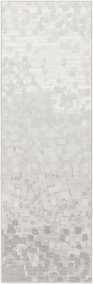 Livabliss Contempo Belgium Woven Polypropylene Runner Rug for Hallways and Entryways CPO3843-27710