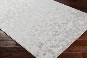 Livabliss Contempo Belgium Woven Polypropylene Runner Rug for Hallways and Entryways CPO3843-27710