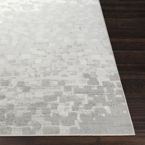 Livabliss Contempo Belgium Woven Polypropylene Runner Rug for Hallways and Entryways CPO3843-27710