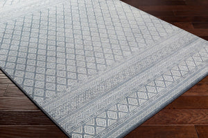 Livabliss Contempo Belgian Woven Polypropylene Area Rug for Large Living and Dining Spaces CPO3846-92129