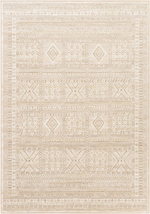 Livabliss Contempo Belgian Woven Polypropylene Area Rug Bohemian Global Pattern Living Room CPO3853-91210