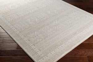 Livabliss Contempo Belgian Woven Polypropylene Area Rug Bohemian Global Pattern Living Room CPO3853-91210