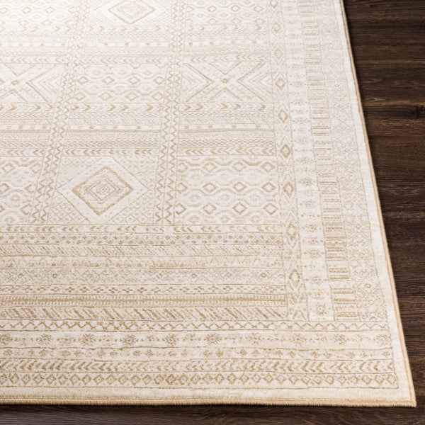 Livabliss Contempo Belgian Woven Polypropylene Area Rug Bohemian Global Pattern Living Room CPO3853-91210
