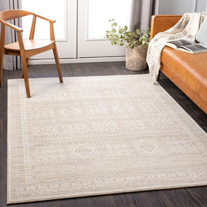 Livabliss Contempo Belgian Woven Polypropylene Area Rug Bohemian Global Pattern Living Room CPO3853-91210