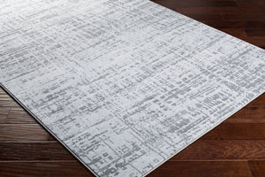 Livabliss Contempo Belgium Woven Polypropylene Accent Rug for Entryways and Modern Interiors Light Gray, Cha 8'8" x 12'10" CPO3856-91210