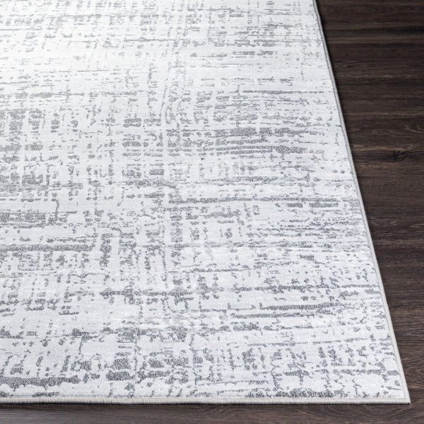 Livabliss Contempo Belgium Woven Polypropylene Accent Rug for Entryways and Modern Interiors Light Gray, Cha 8'8" x 12'10" CPO3856-91210