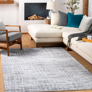 Livabliss Contempo Belgium Woven Polypropylene Accent Rug for Entryways and Modern Interiors Light Gray, Cha 8'8" x 12'10" CPO3856-91210