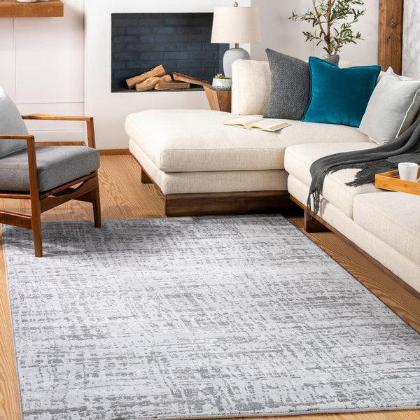 Livabliss Contempo Belgium Woven Polypropylene Accent Rug for Entryways and Modern Interiors Light Gray, Cha 8'8" x 12'10" CPO3856-91210