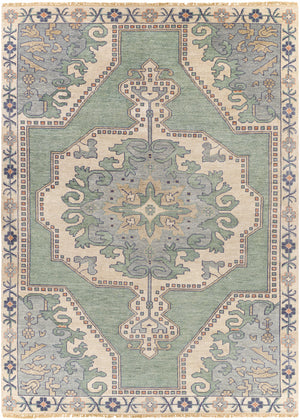 Cappadocia CPP-5031 8' x 11' Handmade Rug CPP5031-811  Light Sage, Denim, Ivory, Light Olive, Dusty Coral Surya