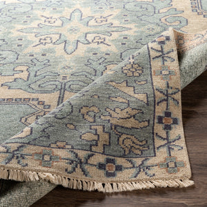 Cappadocia CPP-5031 8' x 11' Handmade Rug CPP5031-811  Light Sage, Denim, Ivory, Light Olive, Dusty Coral Surya